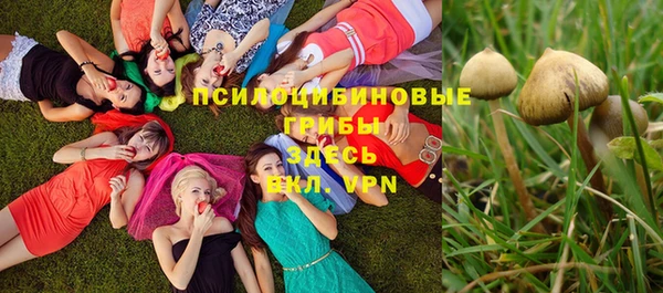 стафф Краснотурьинск