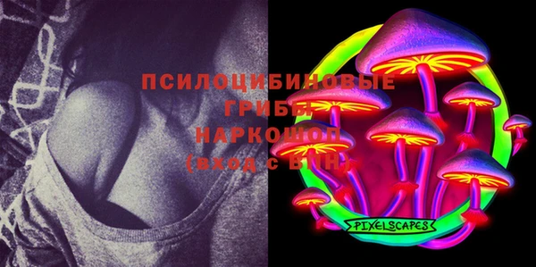 винт Костерёво