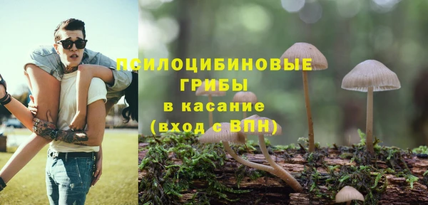 винт Костерёво