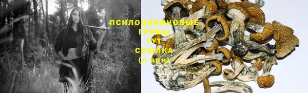винт Костерёво