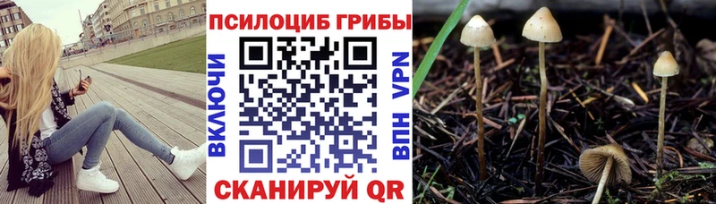 Галлюциногенные грибы мицелий  Купить закладки  Жуков 
